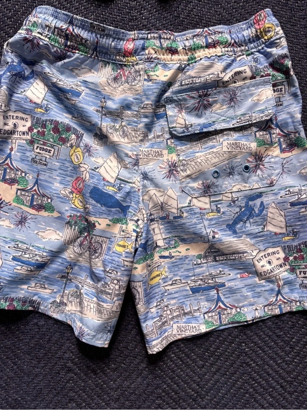 Vineyard Vines Light Blue Nautical Print Boys Swim Trunks 8/10